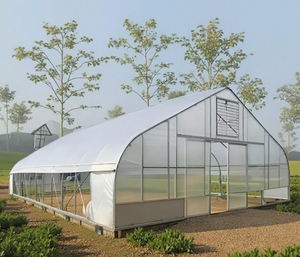 Kit de serre tunnel simple à grande portée, système hydroponique en film plastique pour la culture agricole de tomates, de laitues et de fraises - Product Image 2