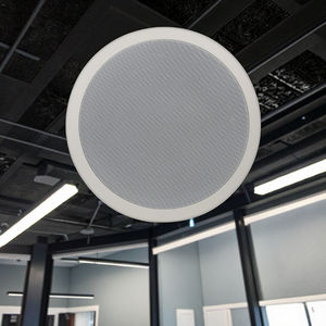 DQINFOS Haut-parleur de plafond stéréo portable d'extérieur pour sonorisation publique 8 pouces 88 dB Sensibilité 8 Ohm 80 W 180-14 kHz Garantie 3 ans Large gamme - Product Image 3