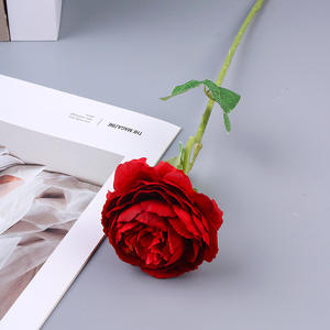 Ramo de Novia SPR, Ramo Chino de Hortensias de Seda, Suministros para Bodas, Jarrones Colgantes de Glicinia, Centros de Mesa Decorativos de Flores de Color Marfil - Product Image 6