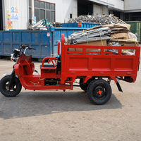Tricycle cargo à essence avec caisse en acier et plateforme arrière, véhicule de livraison à trois roues à moteur essence pour le marché des motos