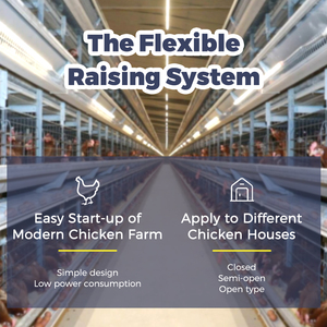 Equipo Automático para Jaulas <span class=keywords><strong>de</strong></span> Aves <span class=keywords><strong>de</strong></span> Corral, Jaulas para <span class=keywords><strong>Gallinas</strong></span> Ponedoras con Capacidad para 10000 Aves, en Venta en Argelia - Product Image 4