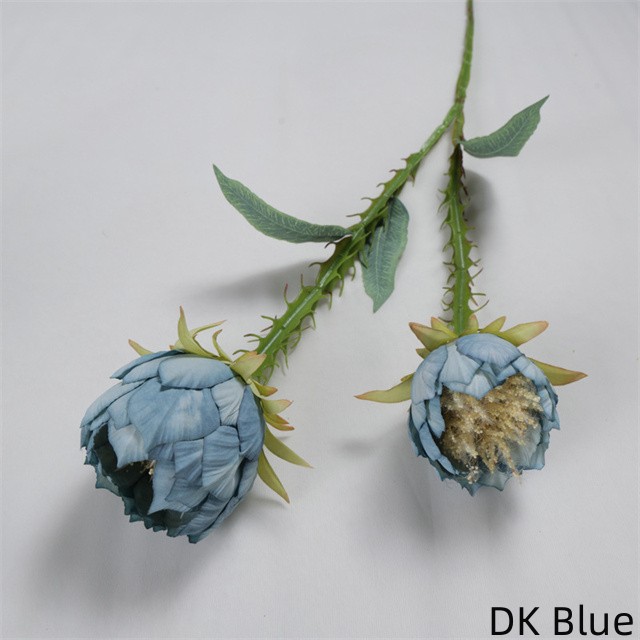 DK Blue
