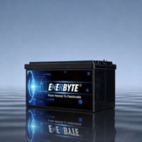 Batterie au lithium 12,8 V 100 Ah avec coque ABS pour camping-car, pour remplacer les batteries au plomb-acide/batteries au lithium/batteries LiFePO4