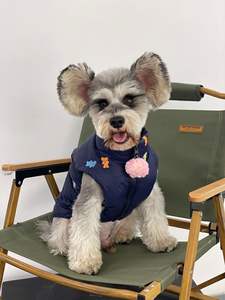 ג 'קסנרי חורף דוב כלב ברווז למטה בגדים עבים בול צרפתי כלב חם מעיל כלב - Product Image 5