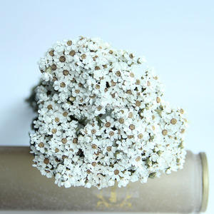 Flores Secas Más Vendidas al Por Mayor, Flores Blancas Pequeñas, Margaritas Blancas, Ciruelas Blancas para Decoración <span class=keywords><strong>de</strong></span> Bodas y Fiestas - Product Image 2