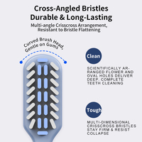 Brosse à dents attrayante pour adultes avec poils en spirale moyens et design croisé pour le nettoyage, vente en gros d'usine