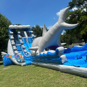 Toboggan aquatique gonflable géant commercial, toboggan aquatique gonflable en PVC, toboggans aquatiques gonflables à deux voies pour les jeux aquatiques d'été - Product Image 2