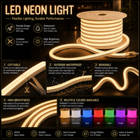 220V IP65 Wasserdichtes PVC Outdoor LED Neon-Seil Flexibler Lichtstreifen Anpassbare Farbe CE-Zertifiziert für Weihnachtsbaum-Dekorationsbeleuchtung