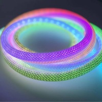 360 Degrés Intelligent RVB Flexible Silicium Rêve Couleur Néon LED Bande Bande IP67 DMX Tresse Réticulé Motif Corde Lumière Tresse Néon