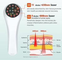 Appareil de thérapie au laser froid LLLT portable pour animaux de compagnie, traitement de l'arthrite chez les chiens, soulagement de la douleur articulaire des animaux, thérapie par lumière rouge
