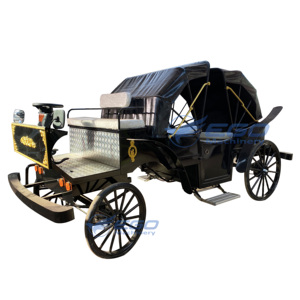 Carrosse de Victoria électrique pour le tourisme et les mariages, transport spécial, prix usine, à vendre - Product Image 6