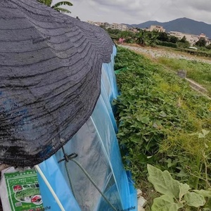 Chất lượng cao 90% UV Kem chống nắng HDPE vải nông nhà máy Bóng lưới nông nghiệp Shading vải nhà kính Sun Shade Net - Product Image 6