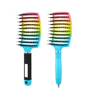 Brosse à cheveux Fengjin Rainbow avec dégradé <span class=keywords><strong>pastel</strong></span>, brosse à cheveux démêlante <span class=keywords><strong>pour</strong></span> cheveux bouclés, brosse à cheveux démêlante <span class=keywords><strong>pour</strong></span> cheveux secs et mouillés, peigne à ventilation <span class=keywords><strong>pour</strong></span> le coiffage - Product Image 1