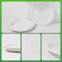 Assiettes jetables en amidon de maïs biodégradables et compostables sans PFAS pour le camping et les fêtes