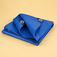 Bâche de camping robuste 700 g/m² imperméable, anti-bactérienne et coupe-vent, grande taille, en PVC enduit, idéale pour l'extérieur – Meilleure vente