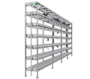 Sistema de Cultivo Hidropónico NFT Personalizado, Sistema de Cultivo Vertical Agrícola para Fresas, Pepinos y Pimientos, Cultivo Aeropónico - Product Image 1