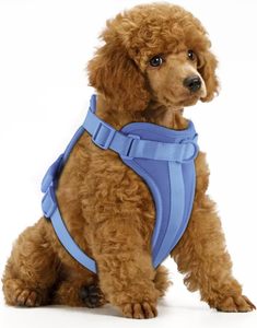 Nouveau Harnais de Sécurité Léger et Personnalisable pour Chien avec Logo, Rembourrage Doux et Couche d'Air, Collier en Caoutchouc et Sac de Rangement - Product Image 1