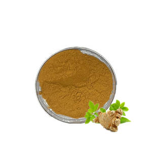 ผงสกัดซานฉีคุณภาพสูง 10:1 แพแน็กซ์ โนโตจินเซ็ง ผงซานฉี - Product Image 1