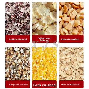 Broyeur de maïs, machine <span class=keywords><strong>à</strong></span> écraser et <span class=keywords><strong>à</strong></span> aplatir pour volailles, canards, oies, moutons, arachides, blé, sorgho, brassage - Product Image 6