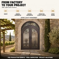 Porte d'entrée extérieure en fer forgé cintrée sur mesure, double vitrage trempé, étanche, pour projet de maison américaine moderne