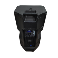 Enceinte audio portable active professionnelle puissante de 15 pouces en plastique avec Bluetooth DSP 800W et amplificateur de son surround