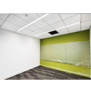 Panneaux acoustiques pour salle blanche 56099, dalles de plafond en fibre non poreuse pour salle blanche 56099 - Product Image 3