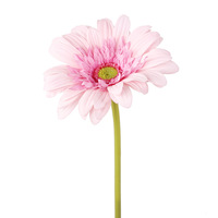 Bunga Gerbera Daisy Buatan Multi-warna Tangkai Tunggal, Bunga Daisy Afrika Palsu untuk Dekorasi Vas Meja Rumah & Pernikahan Grosir