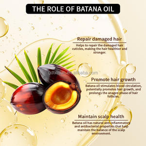 Logotipo personalizado Tratamiento de aceite de Batana orgánico Promueve el crecimiento del cabello Reparación hidratante Conjunto de cuidado del cabello dañado para el crecimiento del cabello - Product Image 4