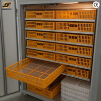 Incubateur d'œufs pour l'éclosion des œufs de poulet, machine d'écloserie avicole, équipement d'incubation pour l'élevage de poulets en petite ferme