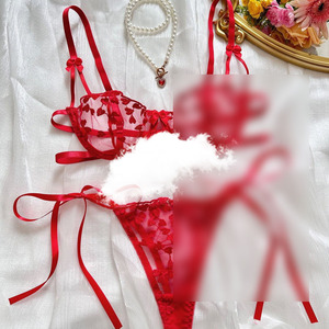 Nouvel ensemble de lingerie sexy pour femmes, e-commerce transfrontalier européen et américain : transparent, séduisant, bikini en dentelle sexy - Product Image 1
