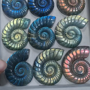 Labradorite, ammonite fossile, coquille de cristal polie, pierre naturelle, objet de collection artistique, éclat bleu, forme spirale colorée - Product Image 1