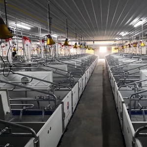 Gabbie per <span class=keywords><strong>Suini</strong></span> Zincate a Caldo, Nuovo Design, Recinto per Scrofe, Attrezzatura Agricola, Gabbia Saldata per <span class=keywords><strong>Animali</strong></span> - Product Image 6