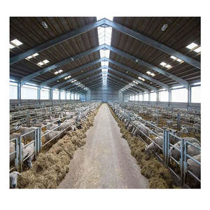 Prezzo della struttura in acciaio della casa di allevamento del maiale basso - Product Image 6