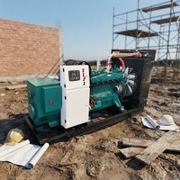 Groupe électrogène industriel EPA 150 kW à gaz (syngaz, gaz naturel, GPL, biogaz) et granulés, alimentation CC, 95 % d'efficacité