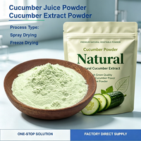 JULYHEALTH Fournisseur de poudre de jus de concombre lyophilisée de qualité alimentaire, soluble dans l'eau, poudre de concombre végétale de qualité alimentaire