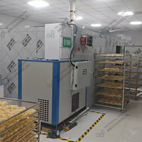 Commerciële rijstnoedel-dehydrator, macaroni-, spaghetti- en pastadroogmachine, gerstnoedel-droger