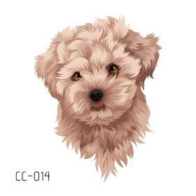 CC014