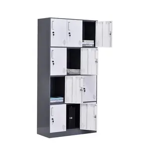Luoyang high quality key lock storage cabinets factory supplier gym school staff metal 12 doors lockers