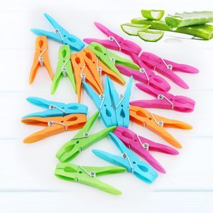 Lot d'épingles <span class=keywords><strong>à</strong></span> <span class=keywords><strong>linge</strong></span> <span class=keywords><strong>à</strong></span> séchage <span class=keywords><strong>à</strong></span> l'air 24 pièces, pinces <span class=keywords><strong>à</strong></span> <span class=keywords><strong>linge</strong></span> avec ressorts, pinces <span class=keywords><strong>à</strong></span> <span class=keywords><strong>linge</strong></span> en <span class=keywords><strong>plastique</strong></span> colorées - Product Image 5