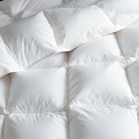 Großhandel Daunendecken in Queen-Size, Gänsedaunen-Bettdecke, Ganzjahresdecke, Warm und Atmungsaktiv mit Baumwollhülle
