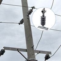 Isolateur horizontal en polymère pour ligne haute tension 33KV, conforme aux normes IEC 61109 / ANSI C29.11