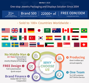 شعار مخصص للسفر سوار قرط قلادة ساعة منظم صندوق مجوهرات للسفر منظم صندوق مجوهرات - Product Image 6