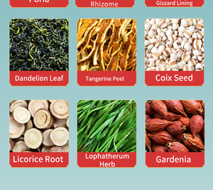 Suplementos Dietéticos Herbales, Bolsitas de Té Herbal <span class=keywords><strong>para</strong></span> Eliminar Cálculos, OEM, Cuidado Natural de Riñones y Vesícula Biliar, Mejora el Metabolismo - Product Image 3