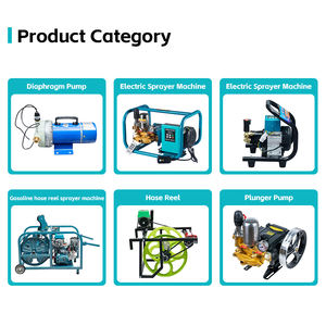 Pulverizador Htp de tres émbolos de alta calidad Mini Power Manual Pulverizador de energía agrícola con multiusos - Product Image 4
