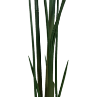 Vente en gros 160cm de cigare artificiel Arrow-root Faux bonsaï vert arbre artificiel pour la décoration intérieure du bureau à domicile