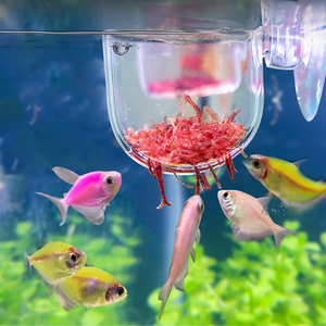 Alimentador de peces de gusano rojo para acuario, contenedor de comida flotante de acrílico transparente para peces - Product Image 4