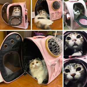 Mochila transportadora de mascotas de gran capacidad, cápsula de burbujas, <span class=keywords><strong>perro</strong></span>, gato, perros pequeños, viaje, mascota, portátil, espacio, Burbuja, mochila para gatos - Product Image 5