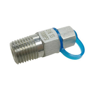 Paslanmaz Çelik 316/304 4 İnç NPT BSPT Manuel Basınç ve Sıcaklık Bağlayıcı Test Fişi, 1000 psi'ye kadar - Product Image 4