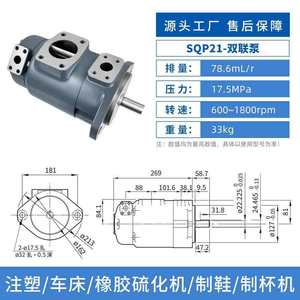 Pompe à double palette Sonxing SQP42 236 ml R 17,5 MPa pour machine de moulage par injection, presse hydraulique, plieuse - Product Image 4