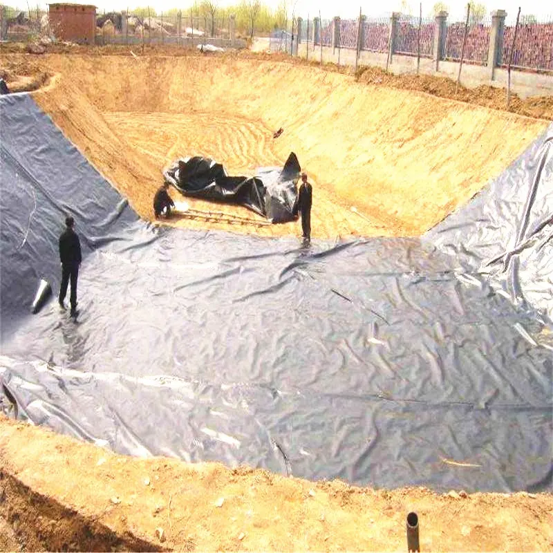 एचडीपीई Geomembrane कीमत इनडोर के लिए भारत में झींगा खेती